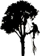Logo Elagage precis